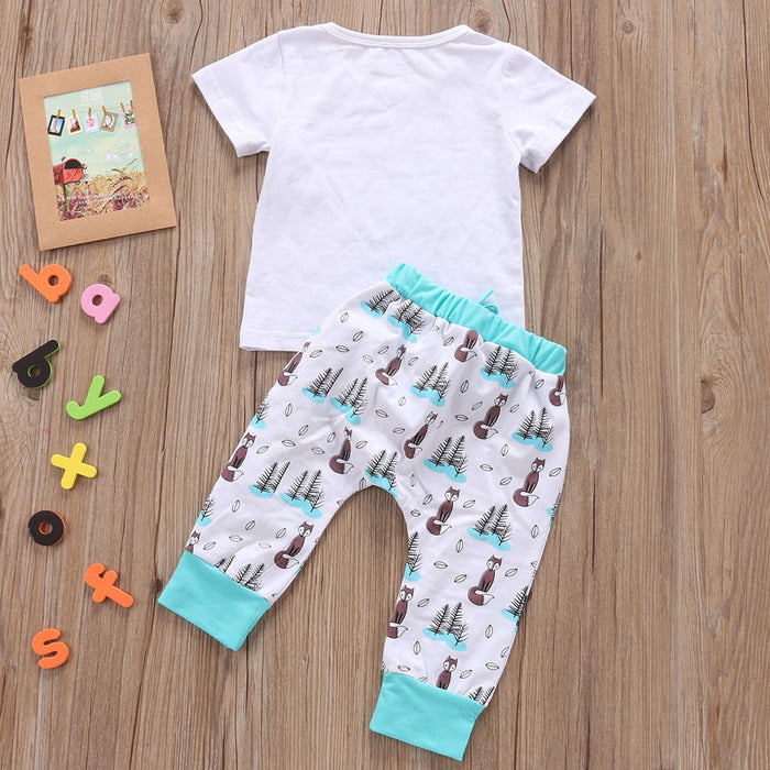 Conjunto de ropa para bebé recién nacido, camiseta, Tops y pantalones, trajes para niños y niñas