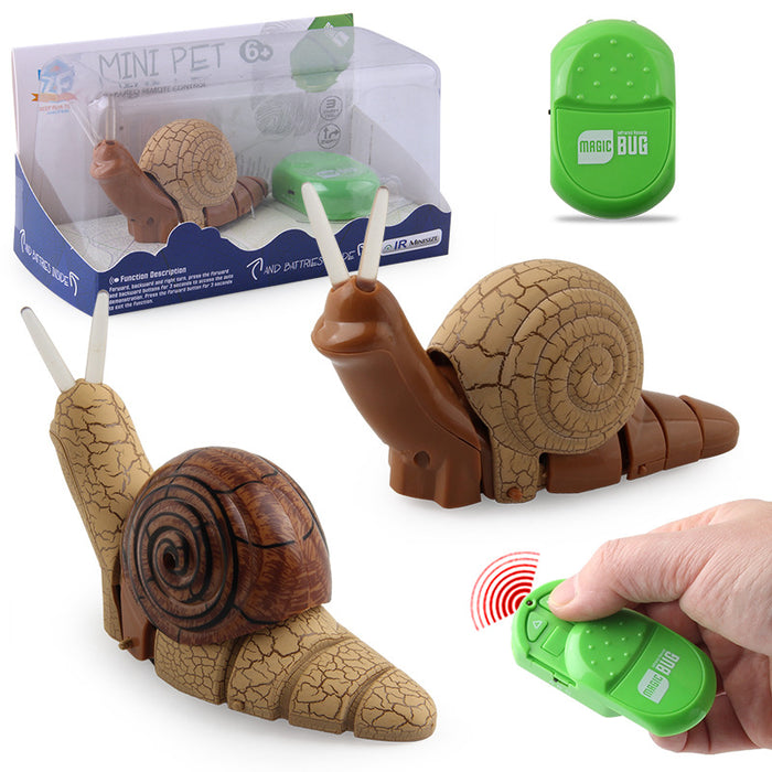 Electric Simulation Creative Insect Pet Exotic Small Toy
